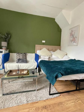 Fulham studio flat